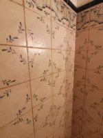 блестящий вымытые стены в ванной после ген уборки.