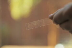 creator-gd-jpeg-v1-0-using-ijg-jpeg-v80-quality-100